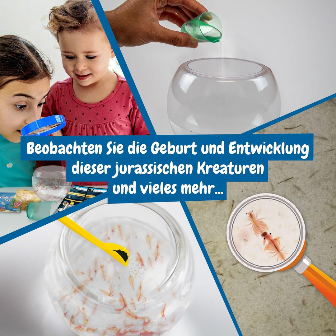 Science4you Jurassische Haustiere - Urzeitkrebse Züchten Set für Kinder mit Artemia Salzkreb (Famili