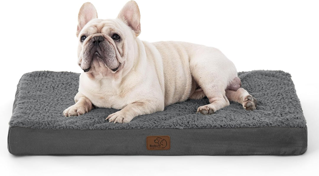 Bedsure orthopädisches Hundebett kleine Hunde - 76x51x7.6cm Hundekissen flauschig Hundematte waschba