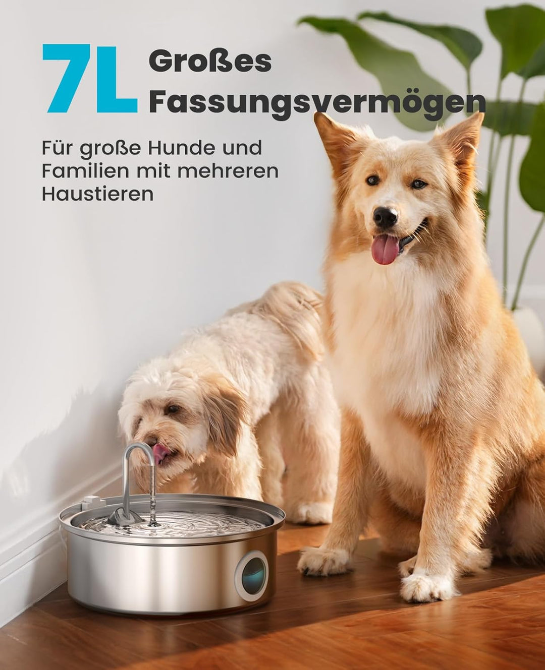 oneisall 7L Trinkbrunnen für Hunde, Katzenbrunnen für Katzen, Edelstahl Hundebrunnen mit LED-Licht,