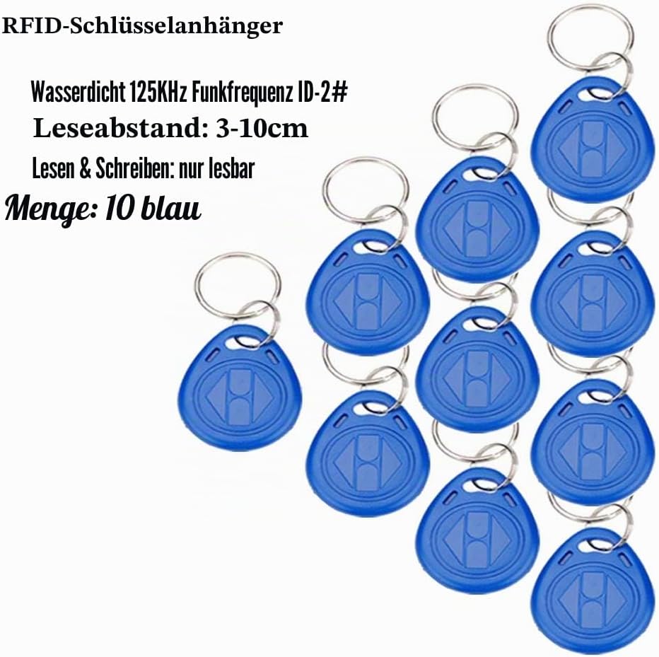 YAVIS Full Set RFID Türzugangskontrolle, System + elektrische Bolzenverriegelung + 110-240 V AC 12 V