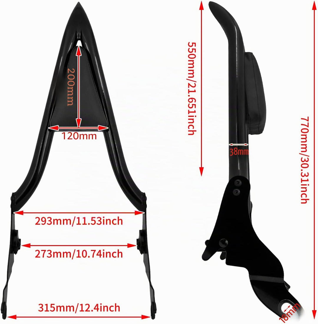 HDBUBALUS Abnehmbare hintere Sissy Bar Rückenlehne für Harley Touring Road King Road Glide Street Gl