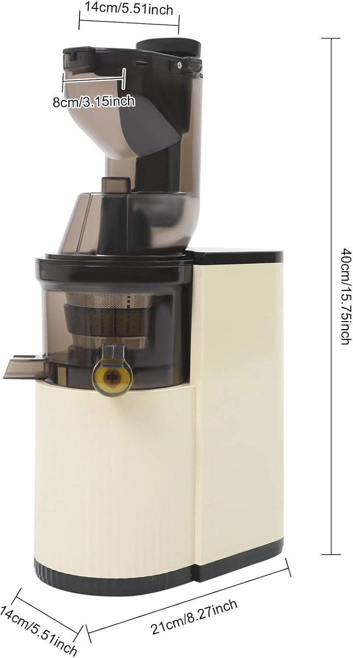 WooDerson 800W Entsafter Gemüse und Obst Spiral-Kaltentsafter, Saftpresse Elektrisch 500ml Langsamer