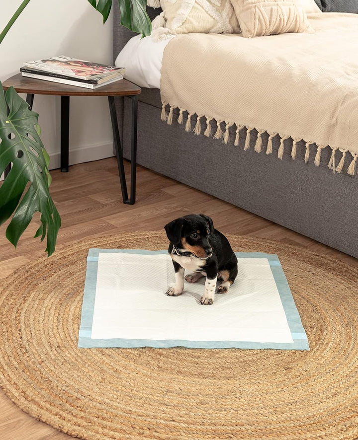 lionto Welpenunterlage Trainingspads Hygieneunterlage für Hunde auslaufsicher 6-lagig, 60x60 cm, 100
