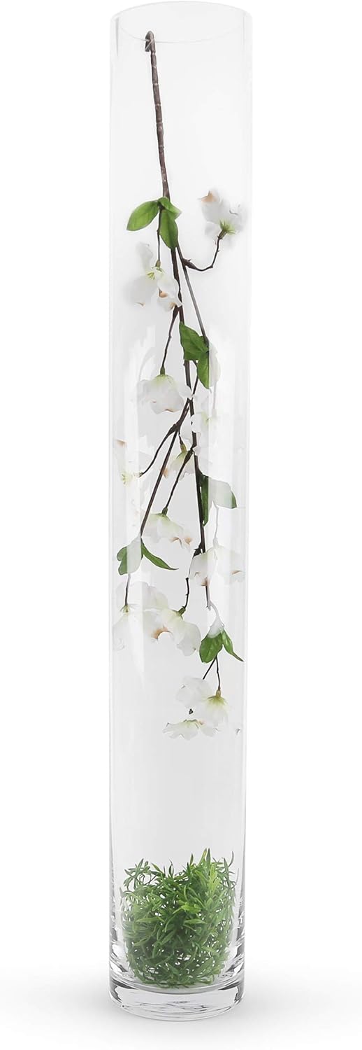WGV Vase, zylinderförmig, 71 cm, transparent 4" X 28" Durchsichtig, 4" X 28" Durchsichtig