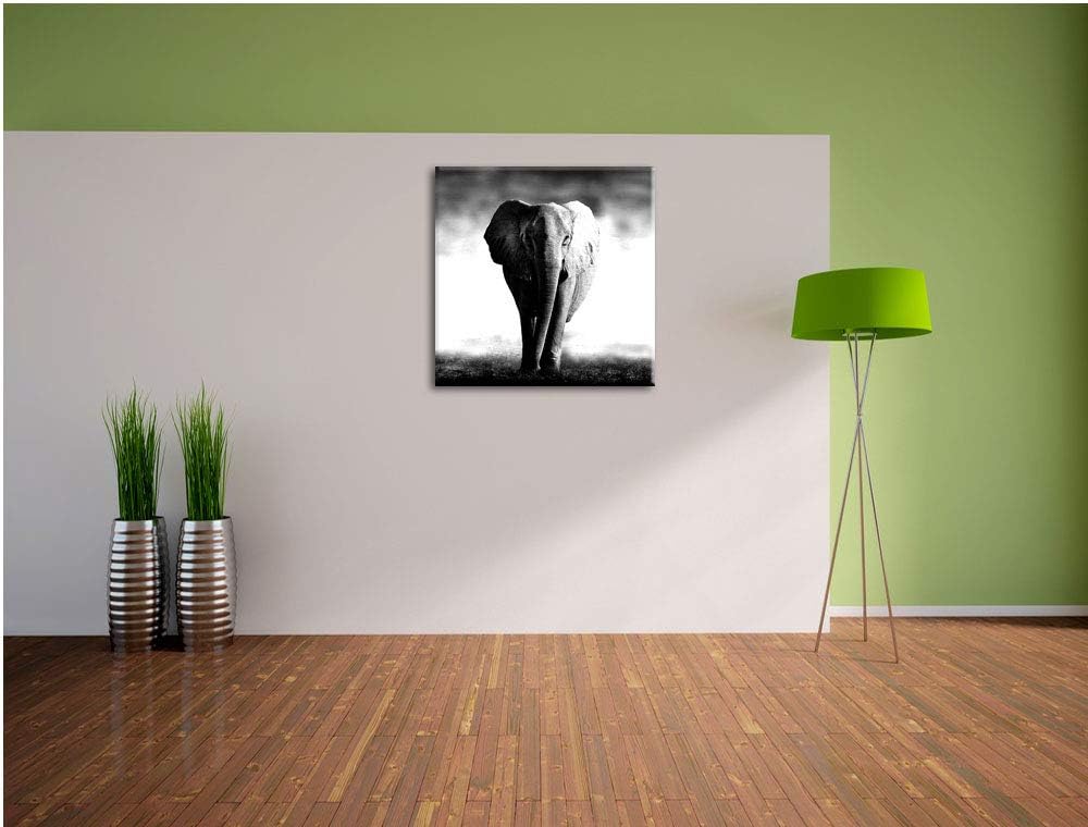Pixxprint Elefant im Alleingang als Leinwandbild/Grösse: 70x70 cm/Wandbild/Kunstdruck/fertig bespann