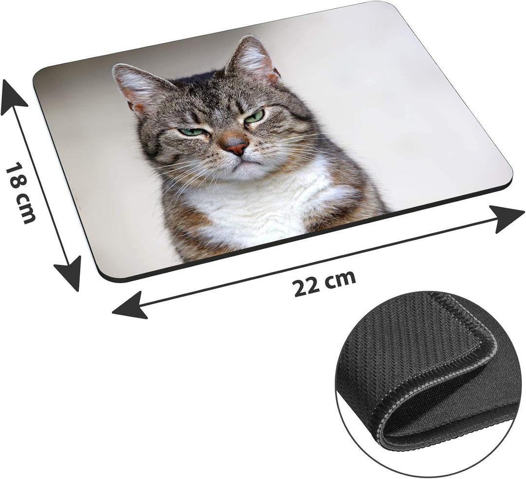 PEDEA Design Tablet PC Tasche 10,1 Zoll (25,6cm) mit Mauspad und schnurloser Maus, Cat