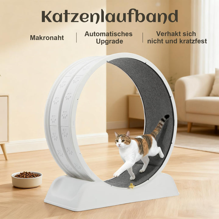 80 * 80cm Zoll Katzenräder für Indoor-Katzen, Plastik Katze Übung Laufband Rad mit Teppich Startbahn