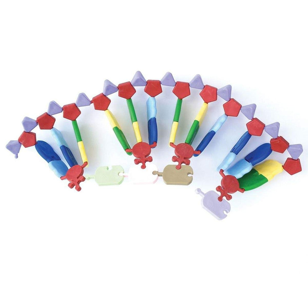 Molymod RNA-Modell, 24 Basen, miniDNA-Bausatz