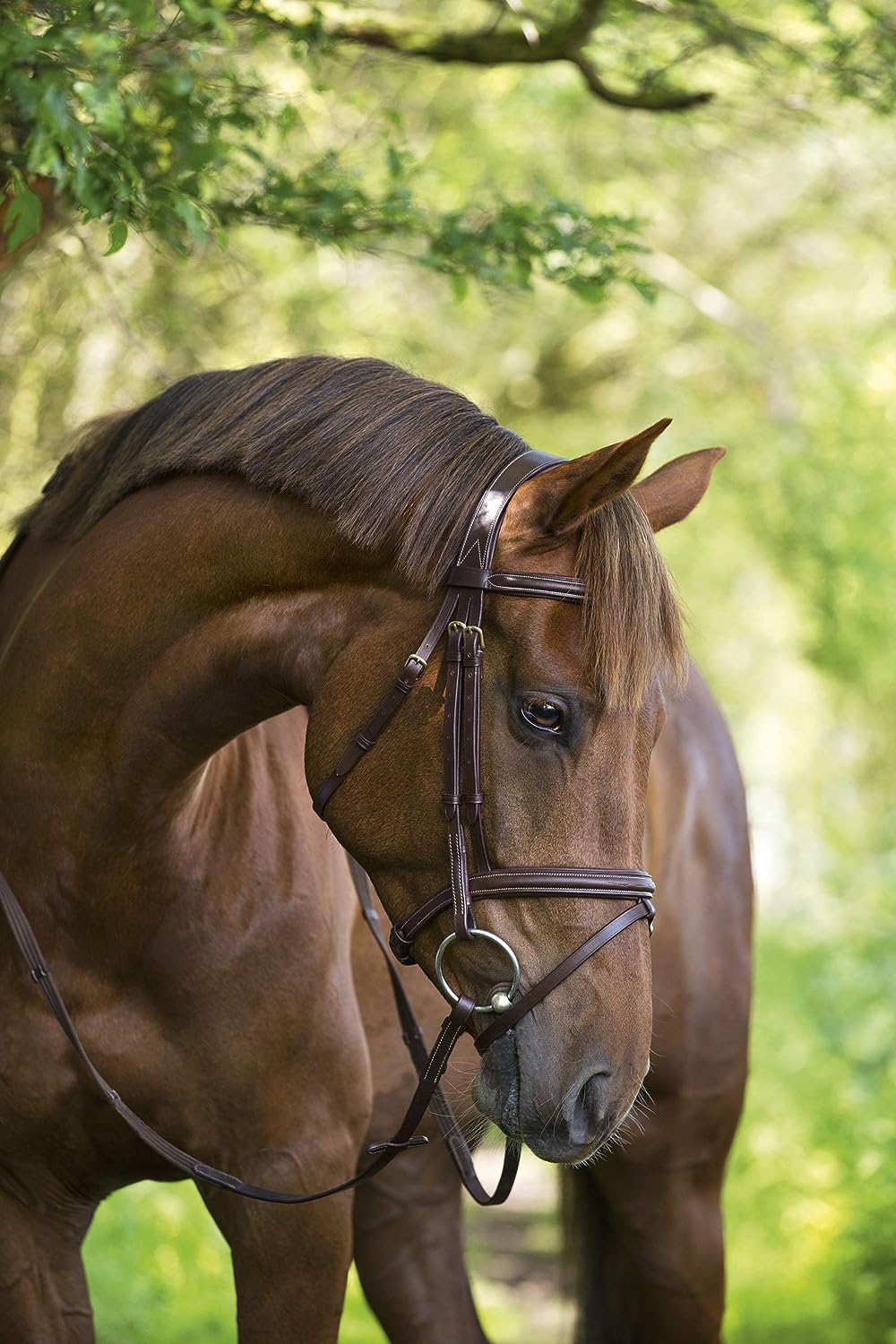 KERBL Trensenzaum Classic Braun Pony, Braun Pony