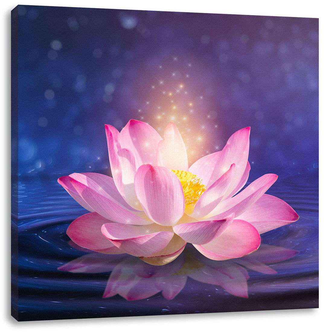 Pixxprint pinker Lotus im Wasser als Leinwandbild Quadratisch| Grösse: 70x70 cm | Wandbild | Kunstdr