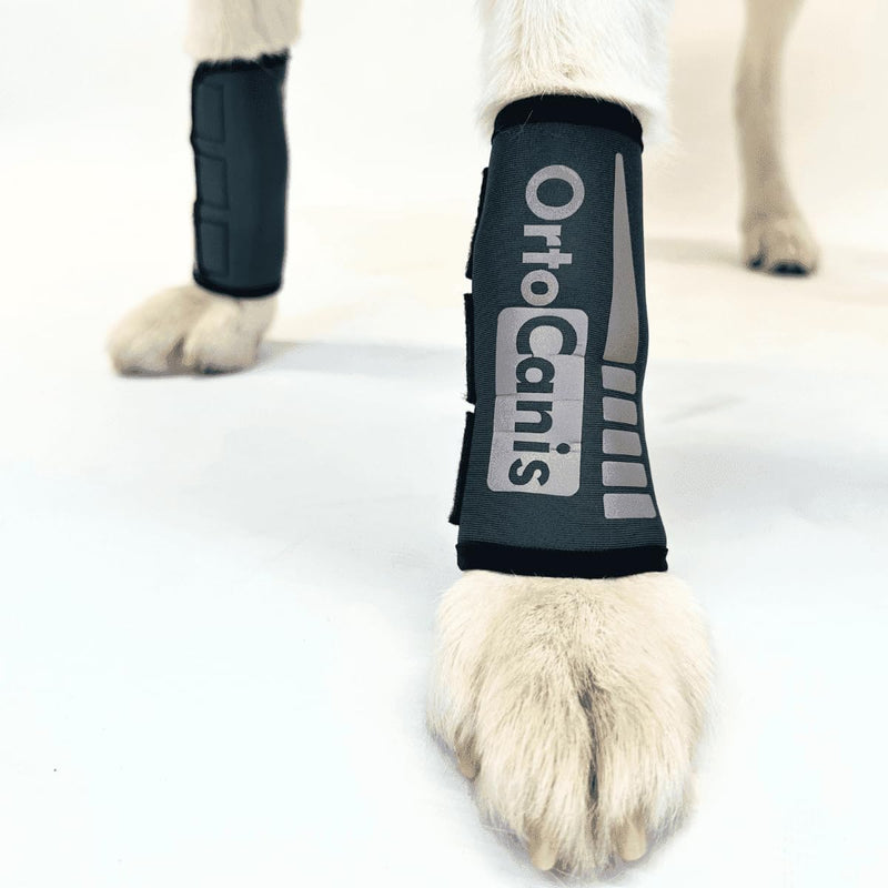 Ortocanis - Karpalgelenkbandage für Hunde mit Arthrose, Bänder- oder Sehnenverletzungen, Grösse S, G
