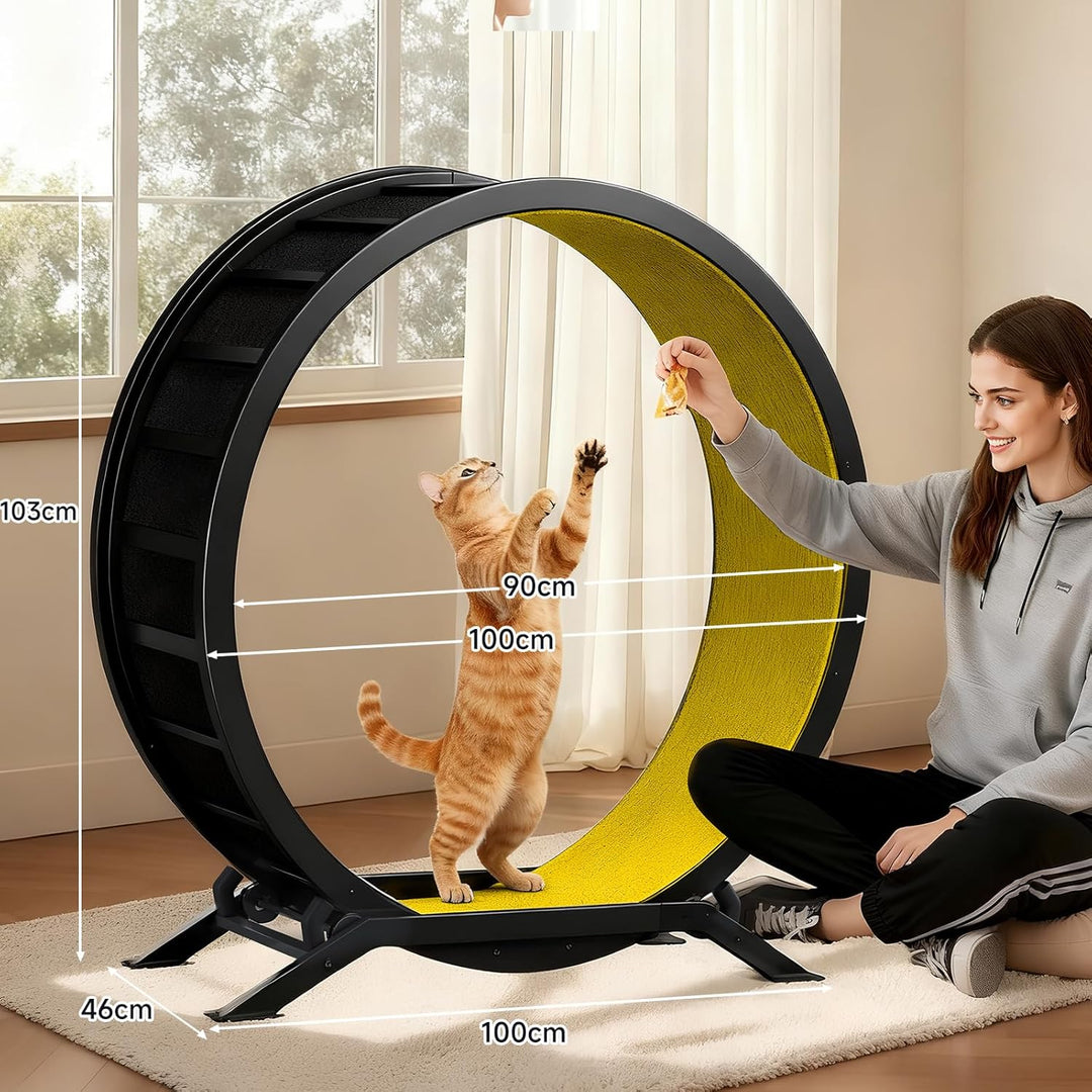 GTPLAYER Katzenlaufrad, laufrad Katze, Extra grosser 100 cm, ultraleises Laufrad mit Abnehmbarer Tep