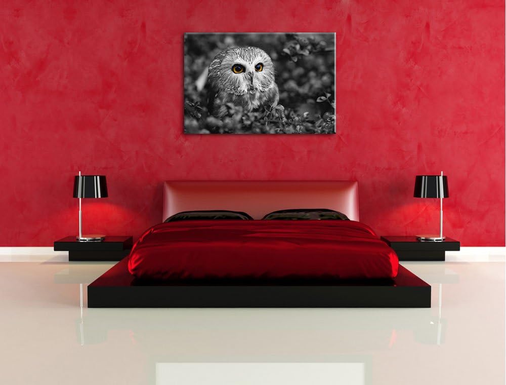 junger Kauz im Vogelbeerstrauch schwarz/weiss Format: 100x70 auf Leinwand, XXL riesige Bilder fertig