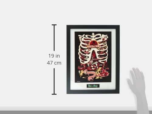 GB Eye Rick und Morty, Anatomie Park Poster, gerahmt, 30 x 40 cm, Verschiedene