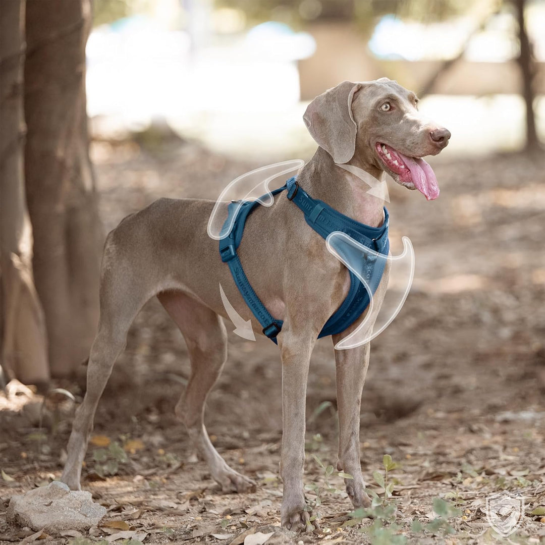 Hundegeschirr mit weicher Lycra-Polsterung, atmungsaktiver Komfortweste aus Mesh, Verstellbarer Grös