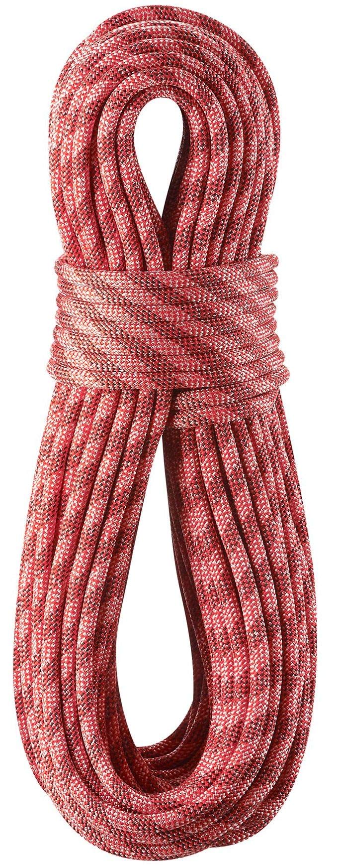 EDELRID Python 10mm 40m Rot - Klassisches Robustes Einfachseil, Grösse 40 m - Farbe Red Red (200) 40
