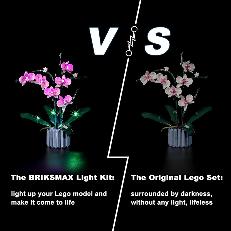 BRIKSMAX 10311 Led Licht für Lego Orchidee - Compatible with Lego Creator Expert Bausteinen Modell -