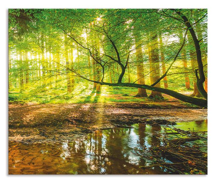 ARTland Spritzschutz Küchenrückwand aus Alu für Küche Herd Spüle 60x50 cm (BxH) mit Motiv Natur Land