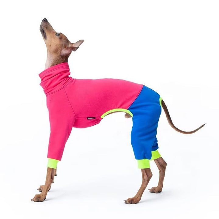 Windhund-Winterkleidung, elastisch, Whippet, vierbeinig, Fleece-Mantel, schlanker Hund, kaltes Wette