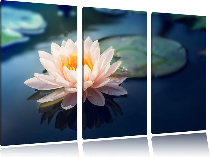Pixxprint Eine schöne rosa Lotosblume in Teich 3-Teiler Leinwandbild 120x80 Bild auf Leinwand