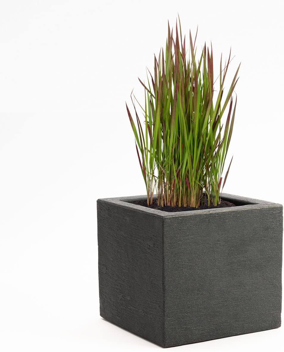 Pflanzwerk® Pflanzkübel Anthrazit Kunststoff 34x40x40cm *Frostbeständig* *100% ÖKOLOGISCH* *2 Jahre