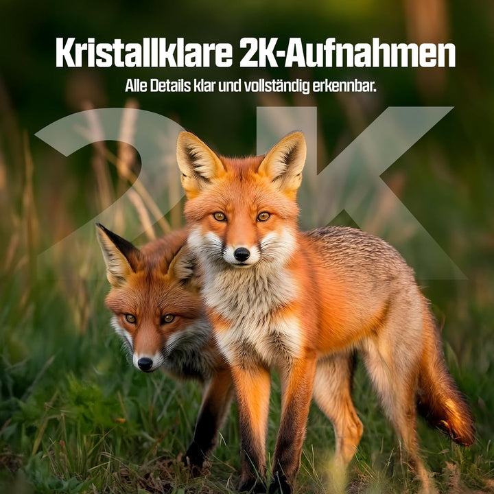 CEYOMUR 4G LTE Wildkamera mit Handyübertragung App, 2K HD Wildkamera mit SIM Karte mit 2.0" LCD-Bild