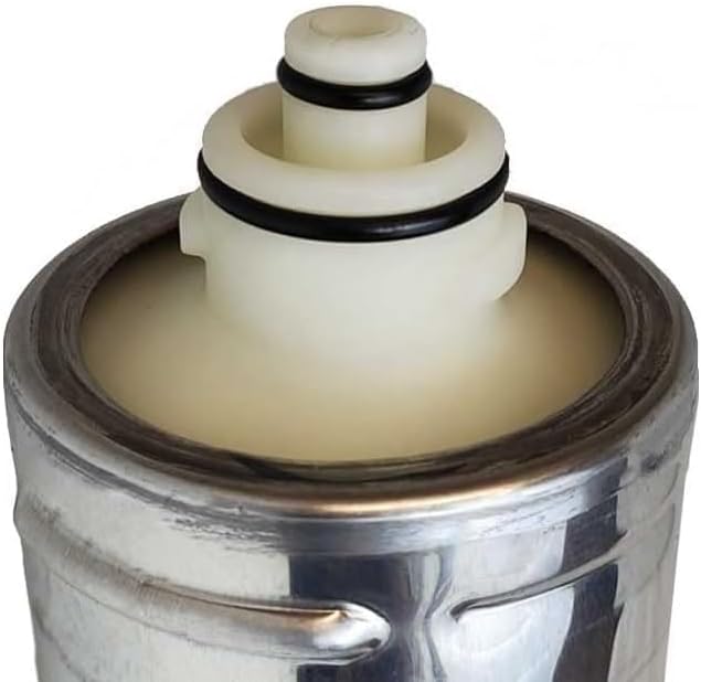 Everpure EV9601-00 4C Wasserfilter Sys SGL, grau, 1 Stück (1er Pack)