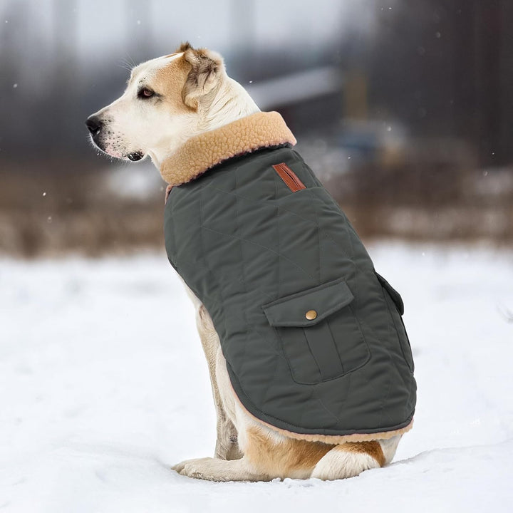 CITÉTOILE Wintermantel Hundemantel, Warme Winterjacken mit Fleece für Hunde,Hundejacke Hundekleidung
