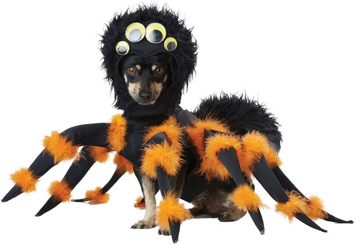 California Costumes Collections PET20149 Spinnenkostüm für Hunde, XS Siehe Abbildung XS, Siehe Abbil