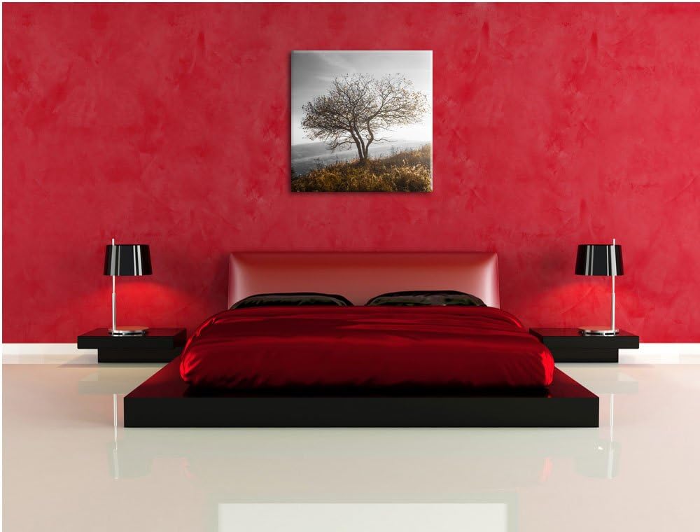 Pixxprint Einsamer Baum auf Berg als Leinwandbild/Grösse: 70x70 cm/Wandbild/Kunstdruck/fertig bespan