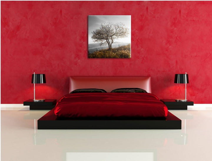 Pixxprint Einsamer Baum auf Berg als Leinwandbild/Grösse: 70x70 cm/Wandbild/Kunstdruck/fertig bespan