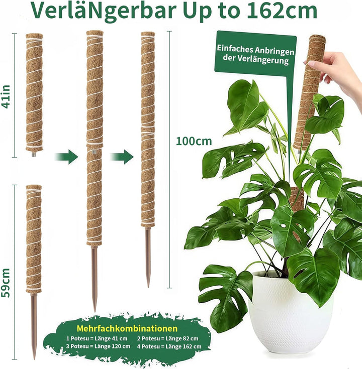 RYHX 4er Set 65cm Biegbare Monstera Rankhilfe, Moosstab und Pflanzstab für Zimmerpflanzen 4×65CM, 4×
