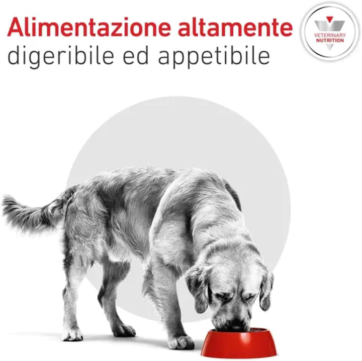 Royal Canin Diabetic 12 kg Adult