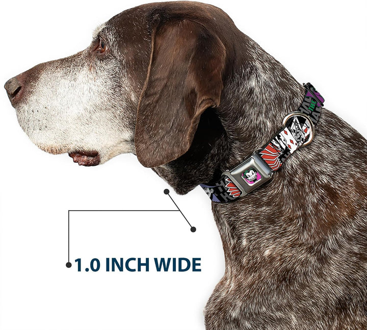 Buckle Down 22,9–38,1 cm jka-Joker Face Hund Halsband WL - Fits 18-32" - 1.5" Wide, WL - Fits 18-32"