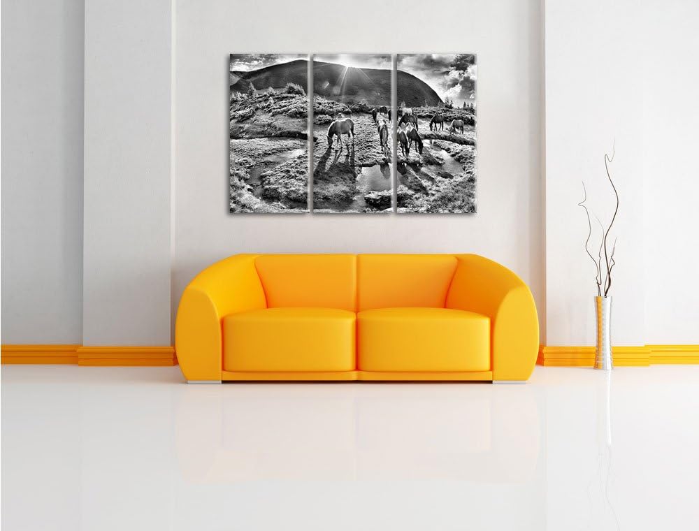 Pixxprint Pferde auf Wiese als Leinwandbild/Grösse: 3 Teilig (120x80) cm/Wandbild/Kunstdruck/fertig