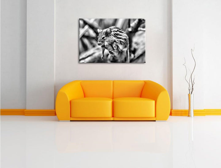 Pixxprint ruhende Feldmaus als Leinwandbild | Grösse: 100x70 cm | Wandbild | Kunstdruck | fertig bes