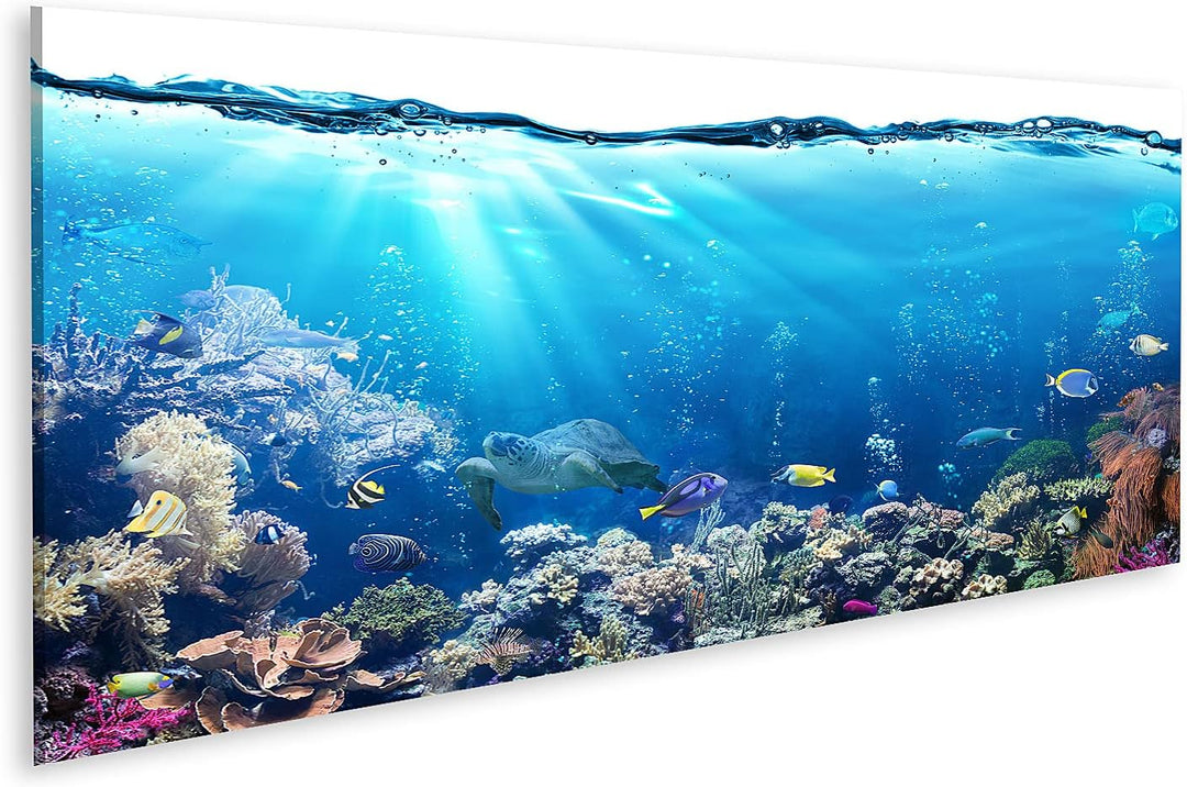 islandburner Bild auf Leinwand Unterwasser Szene Mit Riff Und Tropischen Fischen Wandbild Poster Kun