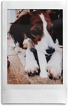 Fuji 96090 Instax Mini Sofortbildfilm, 10 Blatt, 5 Stück, Weiss