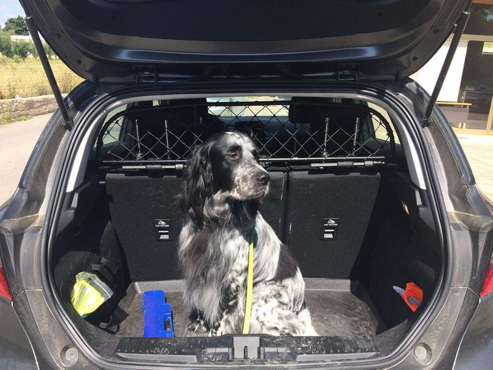 ERGOTECH Trennnetz Trenngitter Hundenetz Hundegitter für Ford Fiesta ab BJ 2017