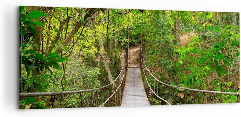 Wandbilder Dekoration Wohnzimmer Fussgängerbrücke Wald Abenteuer Panorama Bilder auf Leinwand 120x50