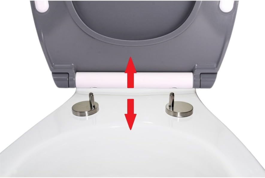 Sanilo WC Sitz mit Absenkautomatik aus Duroplast, faszinierendes Design, Toilettendeckel abnehmbar,