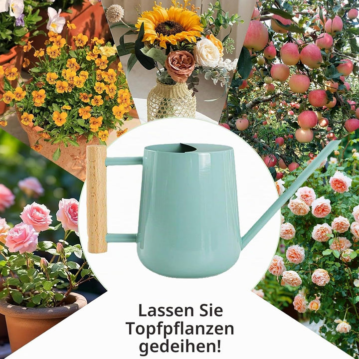 1L Giesskanne Zimmerpflanzen, (1000 ml) 35 Oz Metall Edelstahl Klein Giesskanne mit Langem Auslauf u