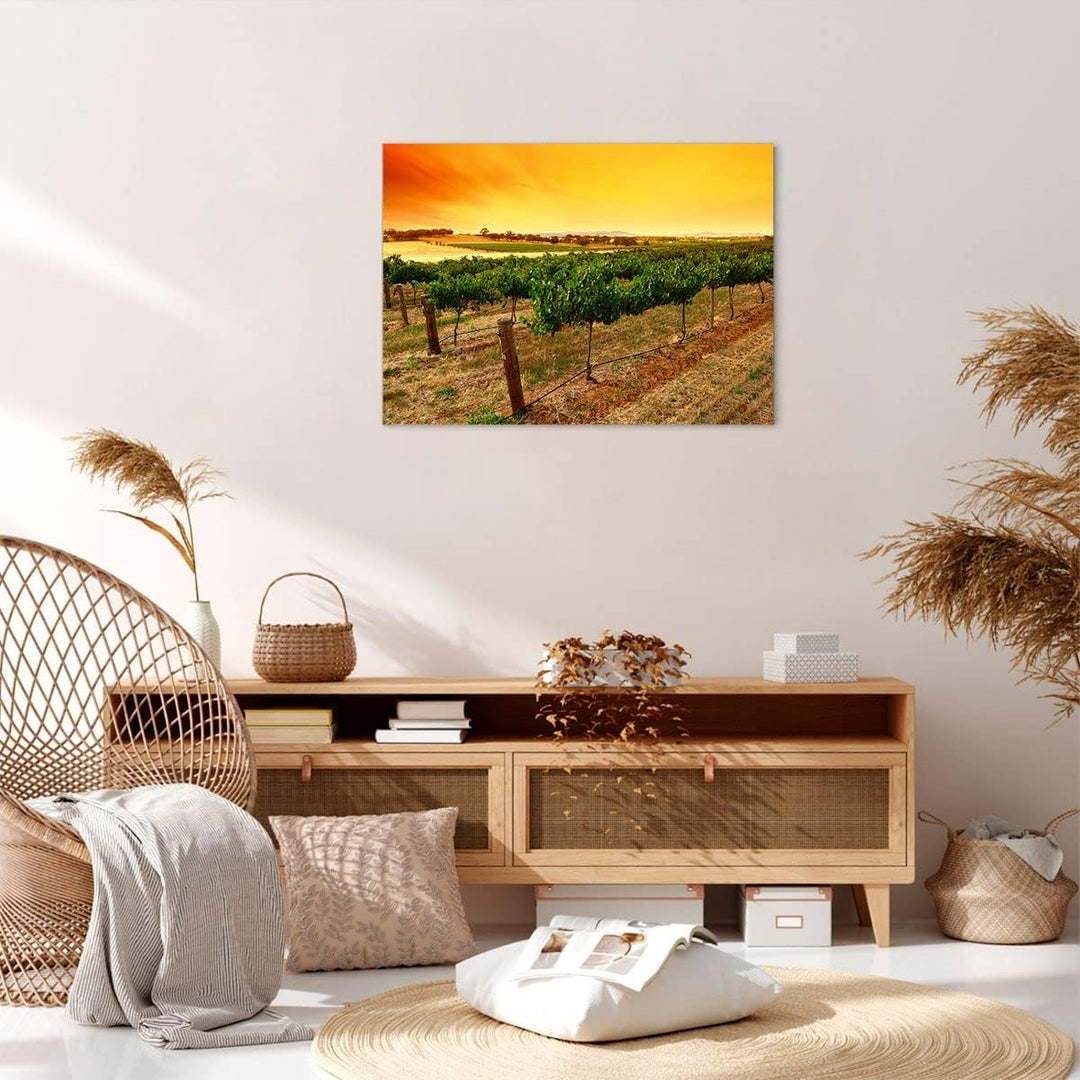 Bilder auf Leinwand Landschaft Weinberg Sonnenuntergang Leinwandbild 70x50cm Wandbilder Dekoration W