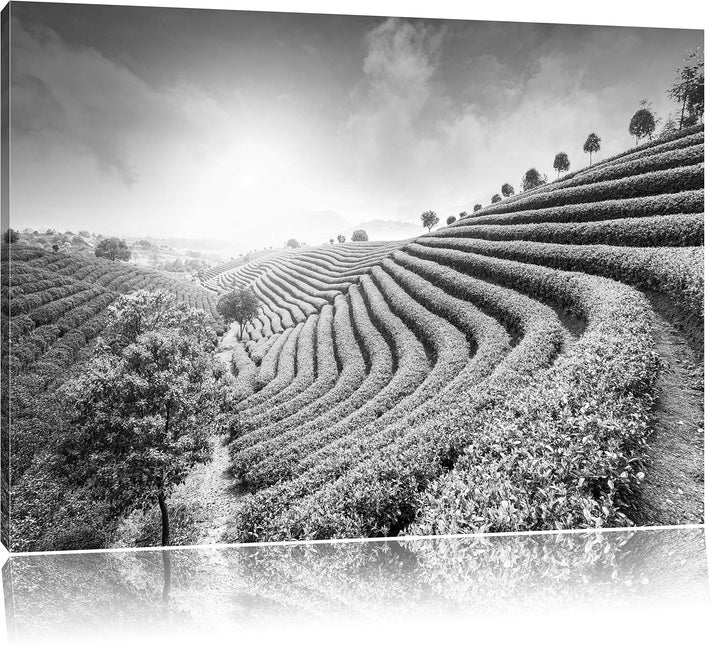 Pixxprint Japanische Treppenfelder Kunst B&amp;W / 100x70cm Leinwandbild bespannt auf Holzrahmen/Wandbil