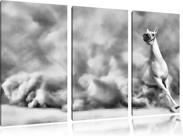 Pixxprint weisses Pferd in der Wüste als Leinwandbild/Grösse: 3 Teilig (120x80) cm/Wandbild/Kunstdru