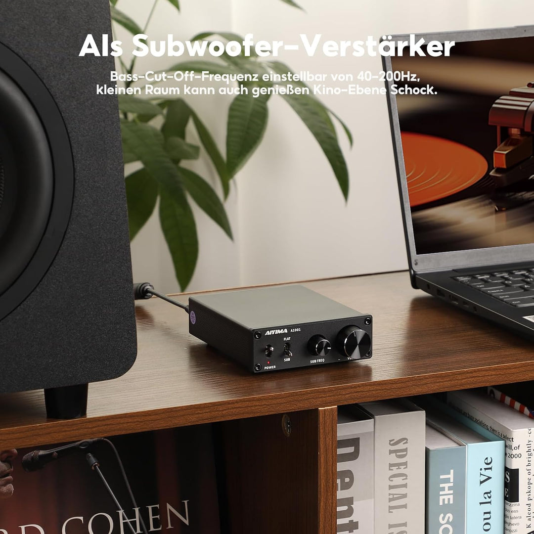 AIYIMA A1001Mono-Subwoofer-Verstärker 100W Klasse D HiFi Digital Power Audio-Verstärker AMP 100W Hei