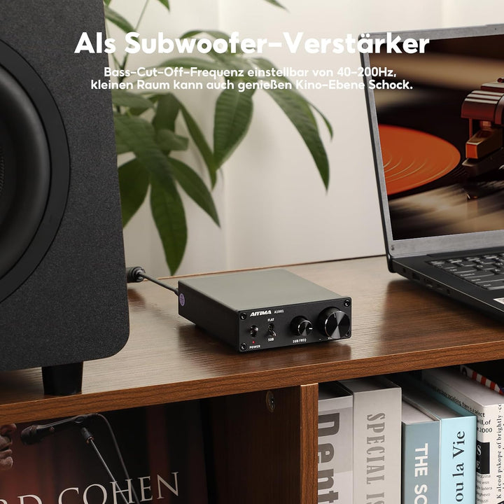 AIYIMA A1001Mono-Subwoofer-Verstärker 100W Klasse D HiFi Digital Power Audio-Verstärker AMP 100W Hei