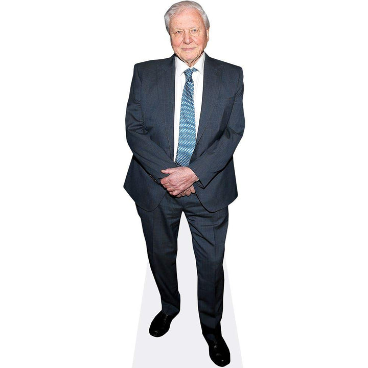 David Attenborough (Suit) Pappaufsteller lebensgross, Pappaufsteller Lebensgross