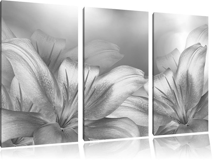 Pixxprint türkise Lilien Kunst B&W als Leinwandbild/Grösse: 3 Teilig (120x80) / Wandbild/Kunstdruck/