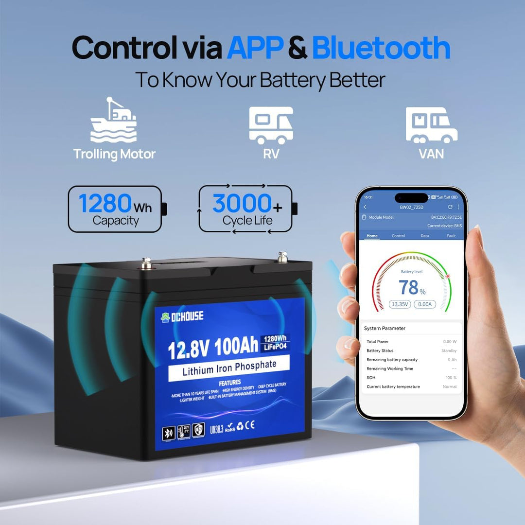 DCHOUSE 12V 100Ah LiFePO4 Bluetooth Lithium Batterie mit SOC-Leuchte und BMS-Anzeige, Niedertemperat